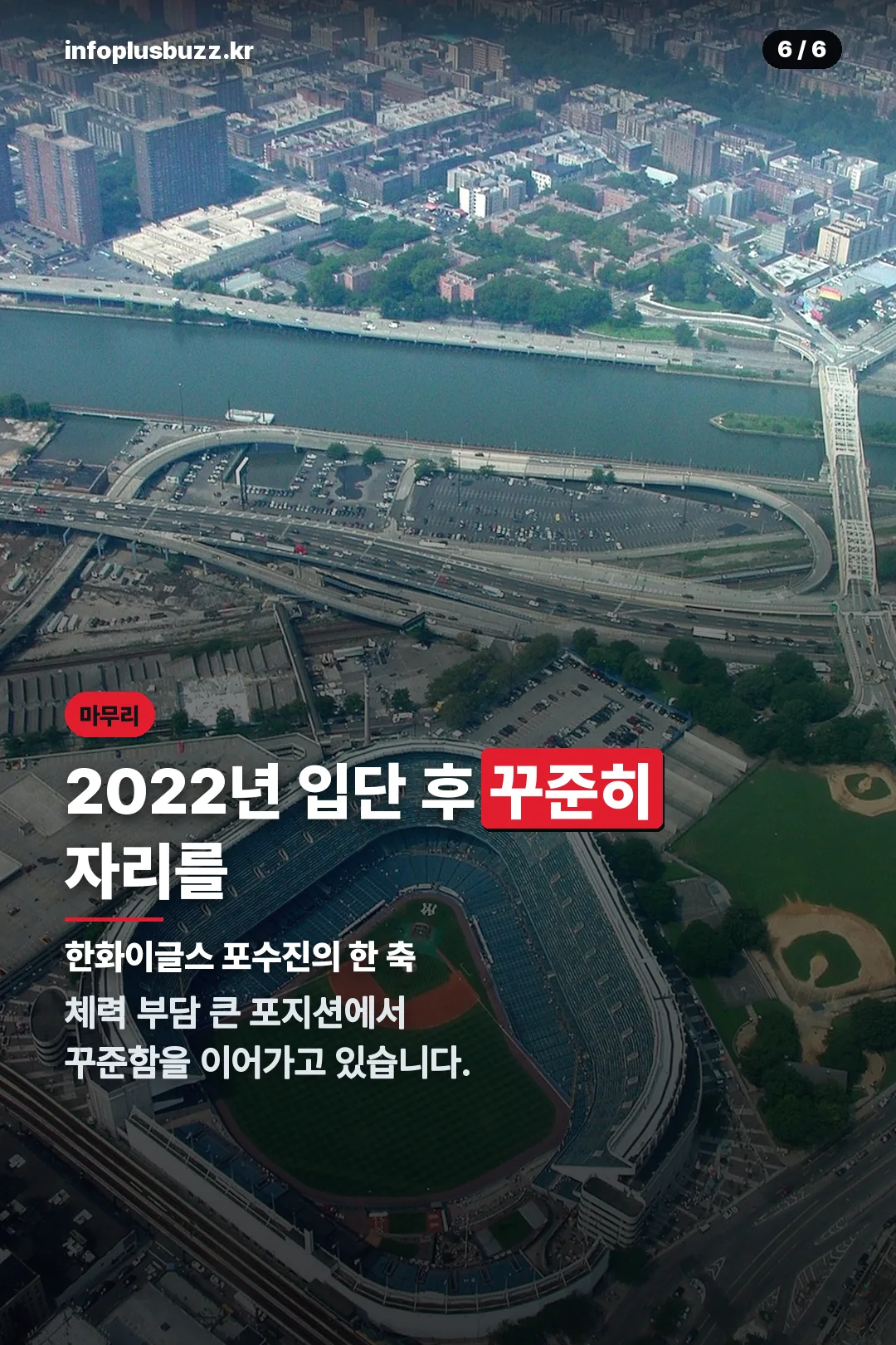 꾸준한 활약 정리