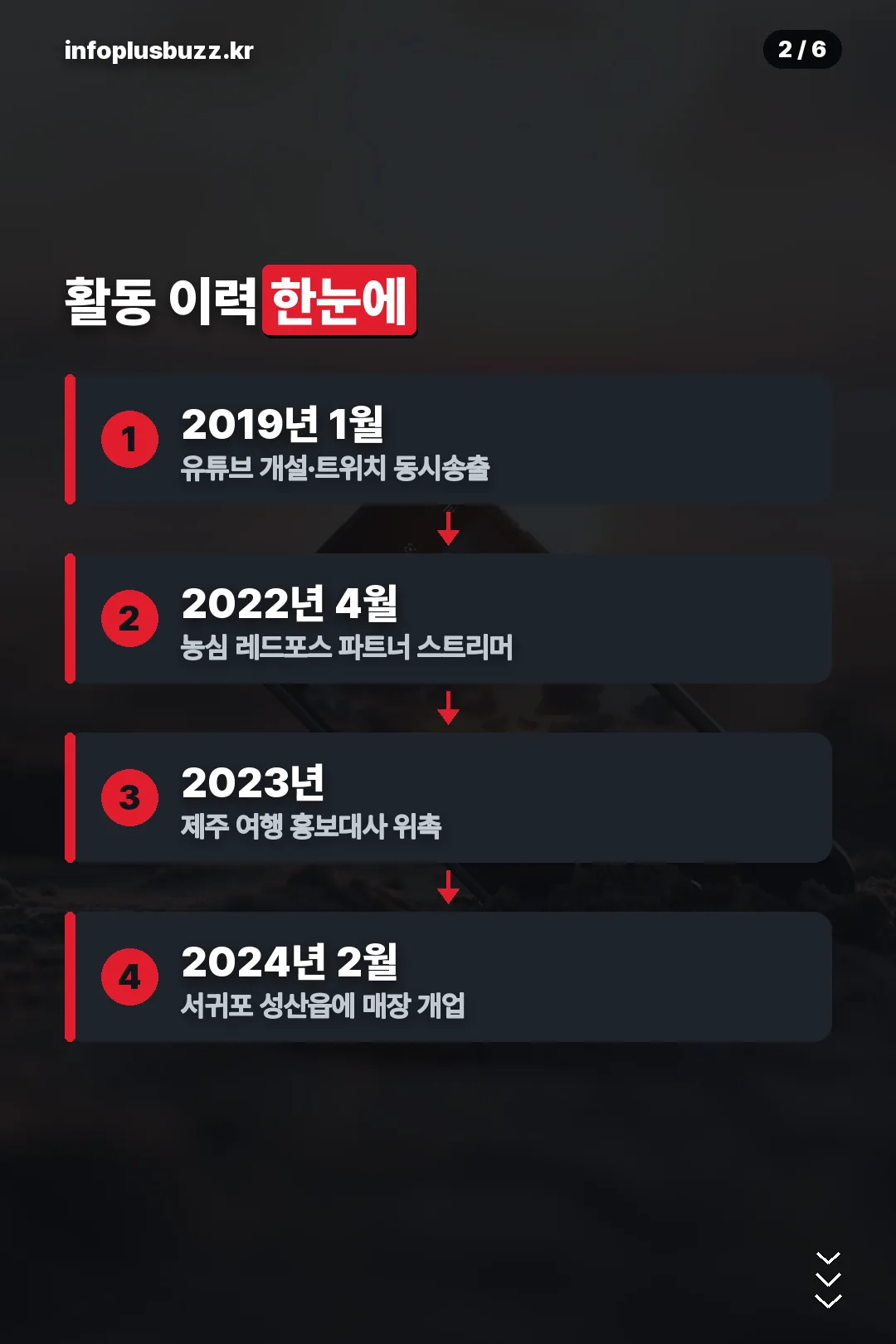 활동 이력 타임라인