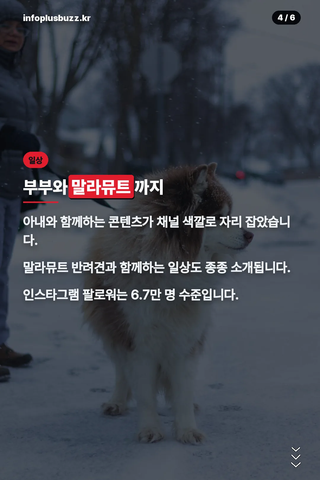 부부·반려견 일상