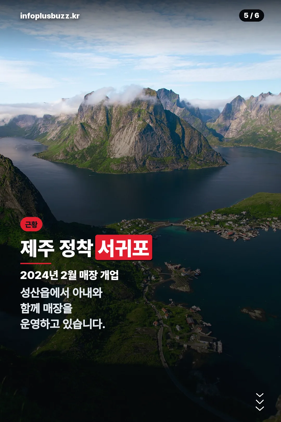 서귀포 정착 근황