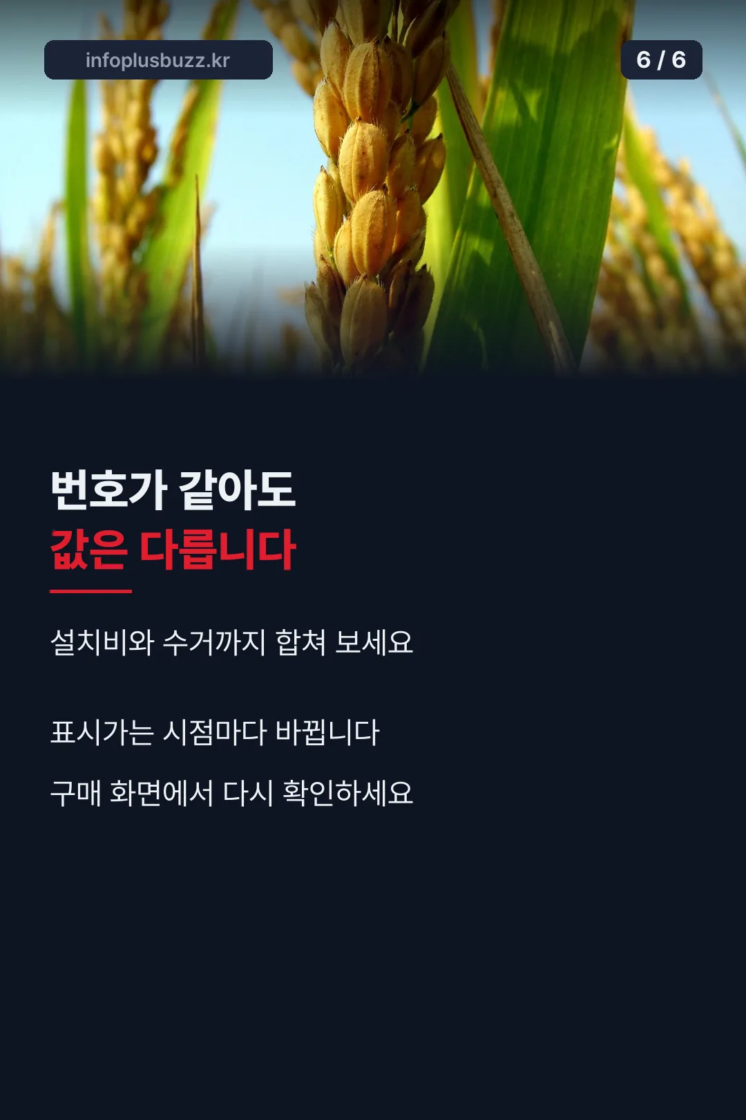 구매 전 정리
