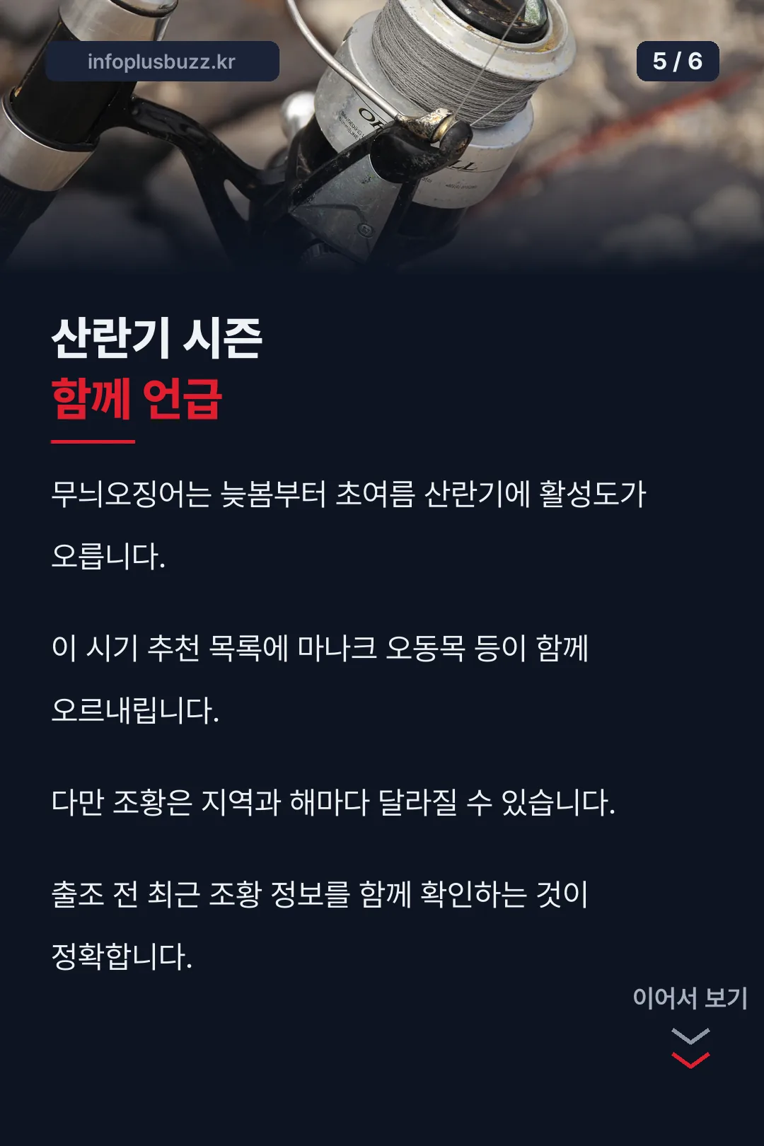 산란기 시즌 언급