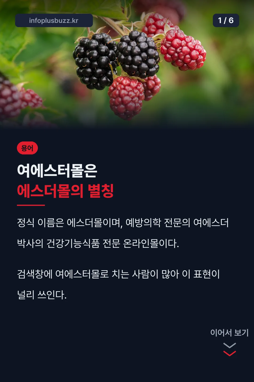 여에스터몰이란
