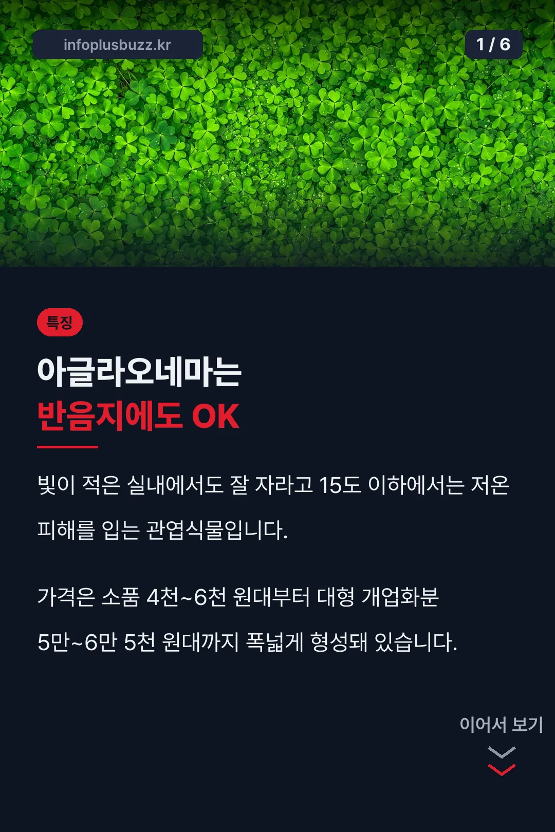 반음지에도 자라는 특징