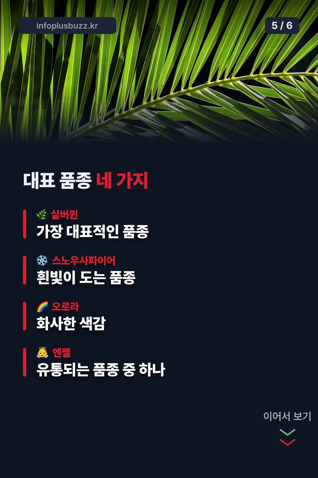 대표 품종 네 가지
