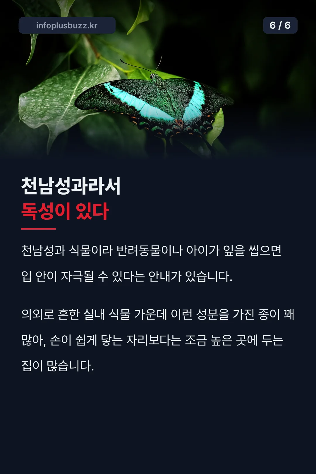 독성 주의 사실