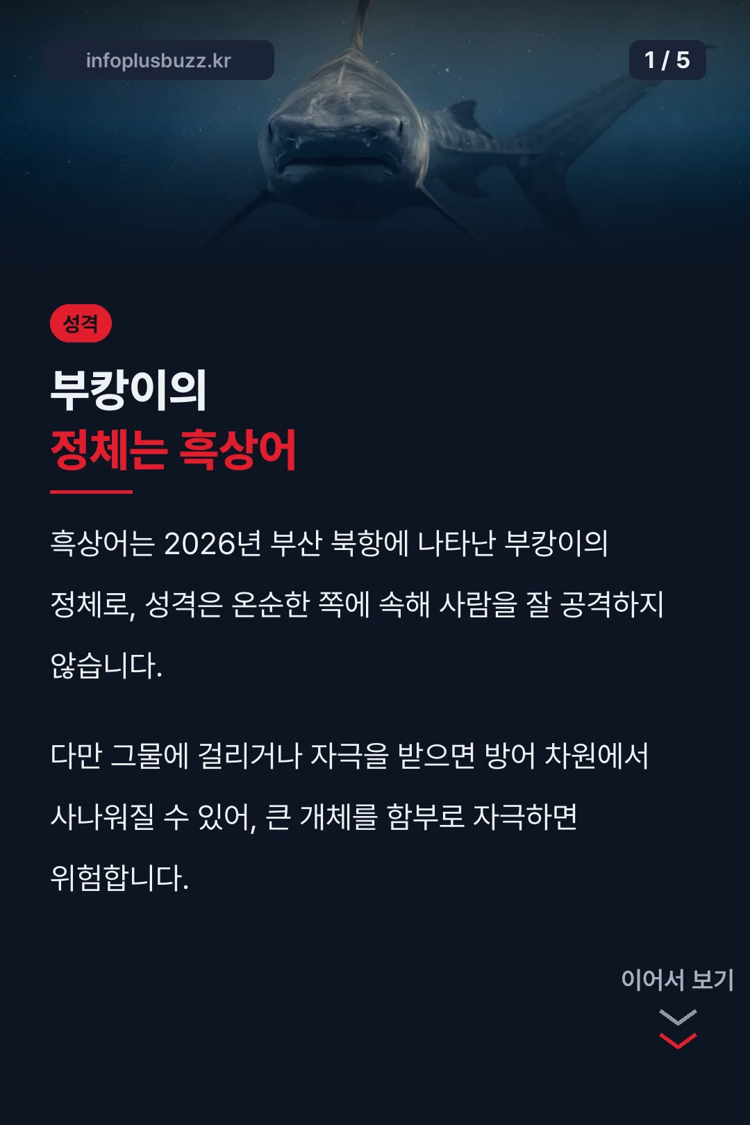 부캉이 정체는 흑상어