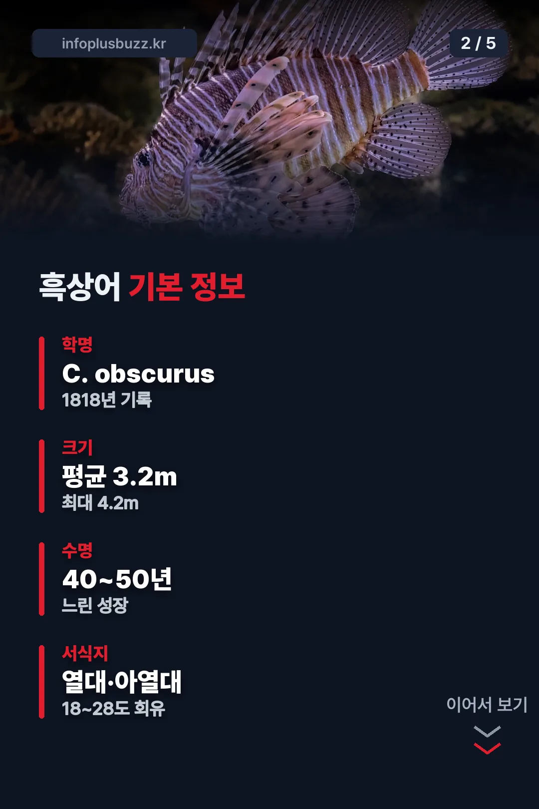 흑상어 기본 정보