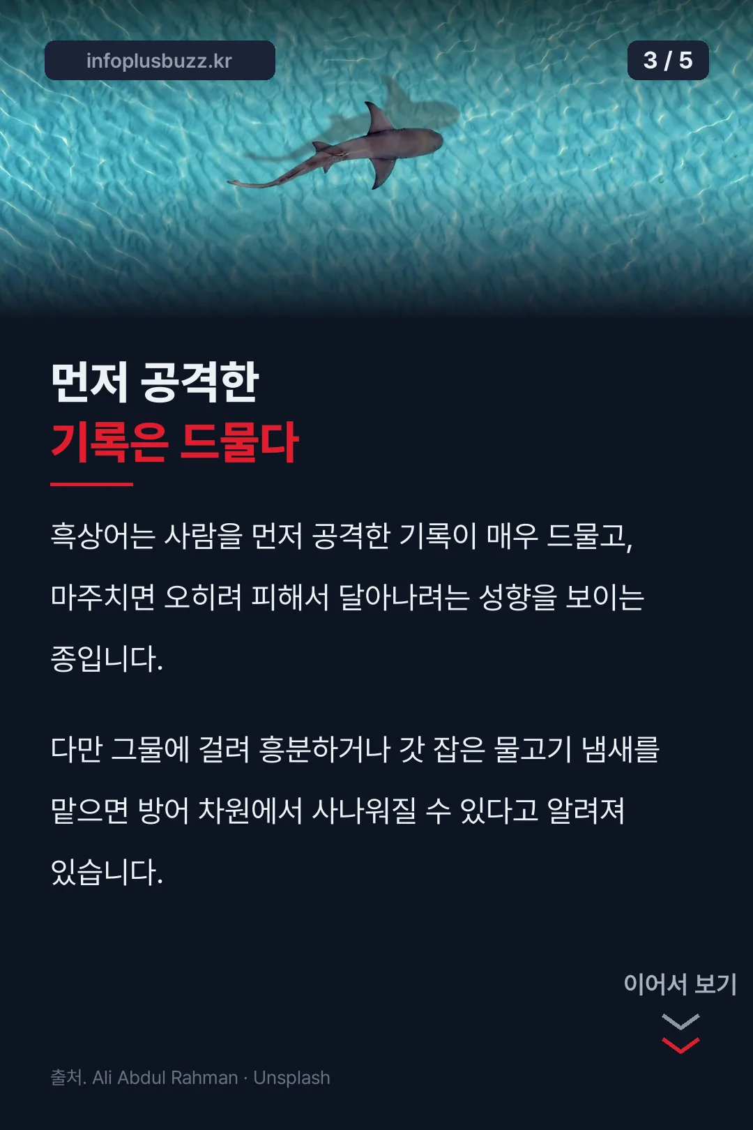 사람 공격 기록 드묾