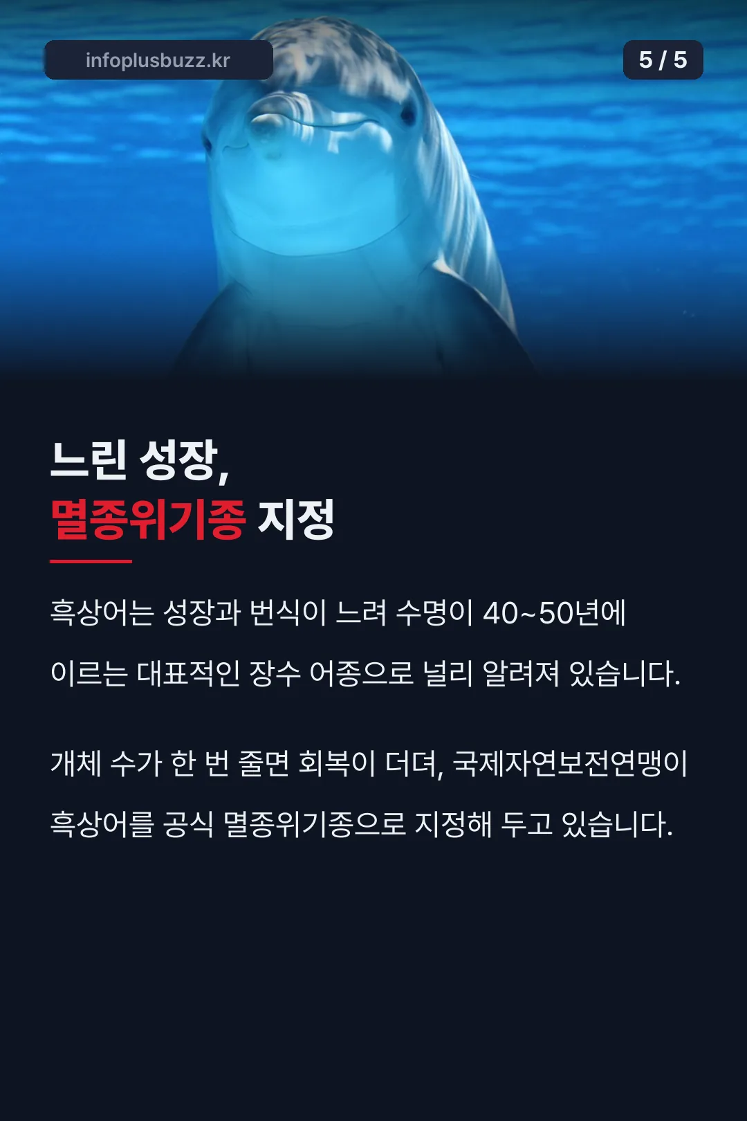 느린 성장 멸종위기종