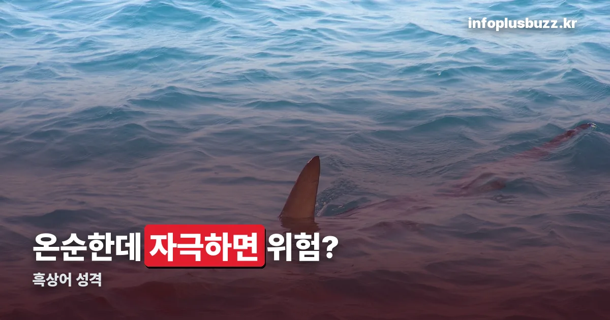 흑상어 성격 정리 썸네일