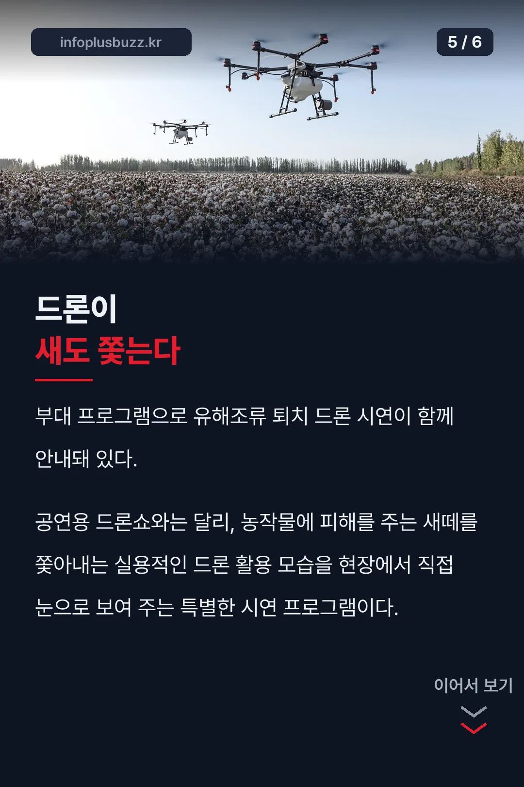 드론이 새도 쫓는다