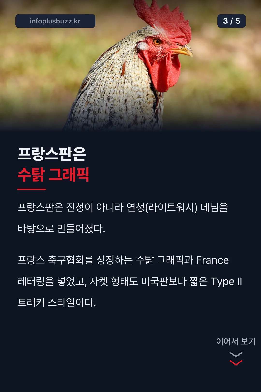 프랑스판 디자인
